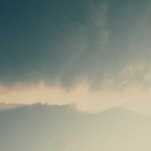 Vintage Cardigan (XS)